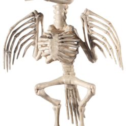 Raven Skeleton Prop