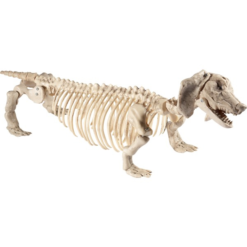 Dachshund Dog Skeleton Prop