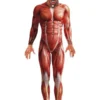 Anatomy Man Second Skin Morph Suit Verkleedkleding -Feestkleding Winkel 600x800 13