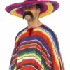 Grote Gekleurde Sombrero -Feestkleding Winkel 600x800 1562