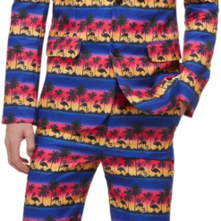 Sunset Flamingo Kostuum