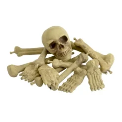 Net Met Schedel En Botten Halloween Versiering