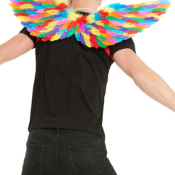 Rainbow Feather Vleugels -Feestkleding Winkel 600x800 2225