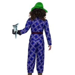 David Walliams Deluxe Awful Auntie Kostuum -Feestkleding Winkel 600x800 2474