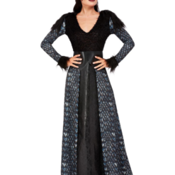 Dark Winter Queen Kostuum